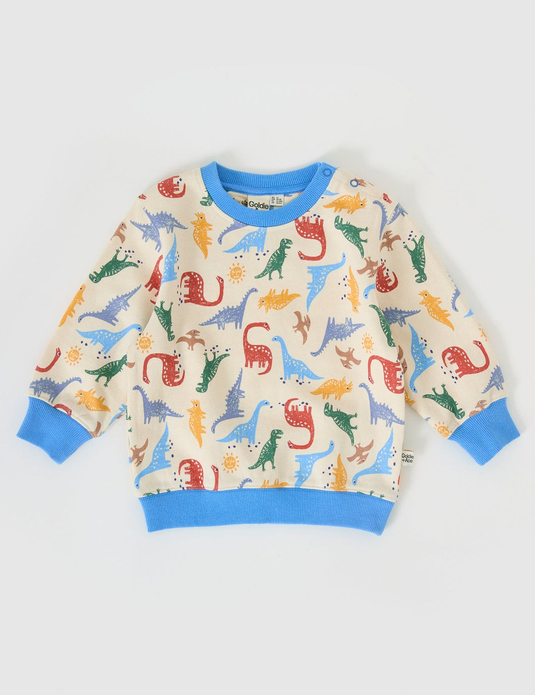 Dino-Mite Relaxed Terry Sweater