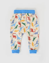 Load image into Gallery viewer, Dino-Mite Terry Sweatpants
