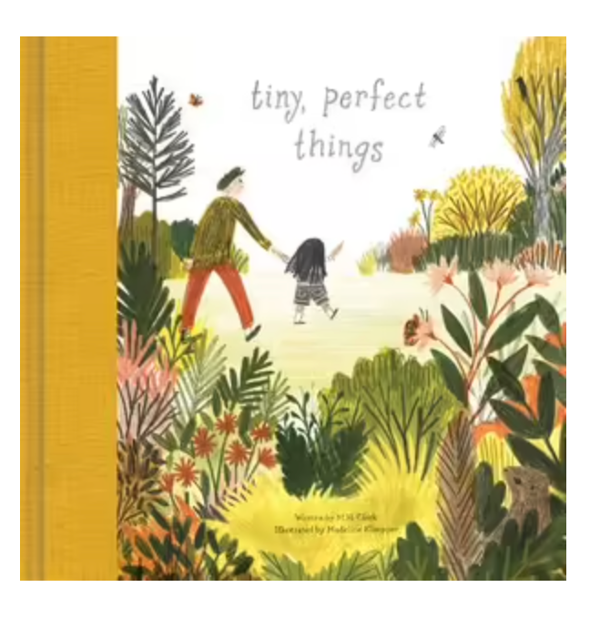 Kids Book | Tiny Perfect Things